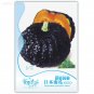 Fresh Japanese Black Pumpkin Vegetables 10 Seeds nutritive edible squash fruit
