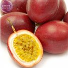 Fresh Purple Passion Fruits 40 Seeds passiflora edulis sour sweet egg fruit Granadilla