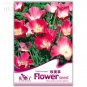 Fresh California Poppy Flowers Seeds 50 seeds