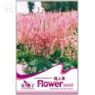 Fresh Limonium Valentine flower seeds 50 seeds flower