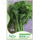 Fresh Vegetables The Pumpkin Seedling Seeds Original Pack 10 seeds courtyard seeds