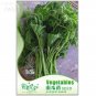 Fresh Vegetables The Pumpkin Seedling Seeds Original Pack 10 seeds courtyard seeds