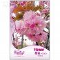 Fresh Perennial Japanese Cherry Trees Seeds Original Pack 5 seeds