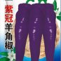 Fresh Purple Horn Pepper F1 Seeds 300 Seeds/Pack Hot Vegetable Peppers