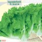 Fresh Hongkong Ice Berg Lettuce Seeds 5g Seeds Green Romaine Lettuce Green Vegetables