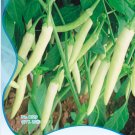 Fresh White Hot Chili Pepper Seeds Original Pack 20 Seeds/Pack Vegetables Seed