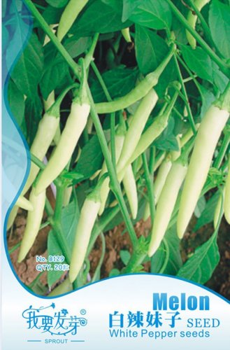 Fresh White Hot Chili Pepper Seeds Original Pack 20 Seeds/Pack Vegetables Seed