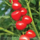 Fresh Heart Shaped Tomatoberry Tomato Hybrid Seed 100 Seeds