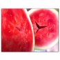 Fresh Yellow Skin Red seeds Watermelon Fruit Seeds Simple Pack 10 Seeds