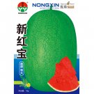 Fresh Xin Hong Bao Big Long Red Watermelon Fruit Seeds 50 Seeds