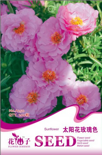 Fresh 200 Seeds/Pack Rose Red Heronsbill Flowers Sunflower EZ to Grow