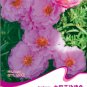 Fresh 200 Seeds/Pack Rose Red Heronsbill Flowers Sunflower EZ to Grow