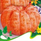 Fresh Sweet Baby Pumpkin Seeds 8 Seeds/Pack Autumn Fall Pumpkin Vegetables
