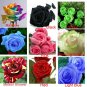 Fresh 9 Colors 1800 Seeds Rainbow Black Green Blue Pink White Red Flower Seeds