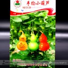 Fresh Hand Twist Small Gourd Seeds Original Pack 2 Seeds/Pack Interesting