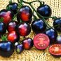 Fresh Indigo Blue Tomato Hybrid Seeds 100 Seeds/Pack Edible Tasty Vegetables