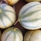 Fresh Small True French Charentais Gourmet Melon Cucumis Melo Seeds 20 Seeds Melon