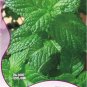 Fresh Lemon Balm Seeds Original Pack 40 Seeds/Pack Mentha Citrata Lemon Mint