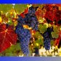 Fresh French Cabernet Sauvignon Grape Bush Seeds 15 Seeds/Pack Grape Wine Tasty Fruit