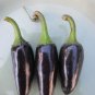 Fresh Black Hungarian Hot Chili Pepper Seeds 50 Seeds / Pack Edible