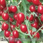 Fresh New Rose Red Long Cherry Tomato Hybrid Seeds 100 Seeds / Pack Tasty Fruit