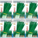 Fresh 15g / Pack 791 Series Chinese Chives SeedGreen Allium Tuberosum Seed