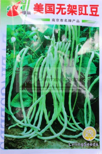 Fresh 3 Original Packs 20g pack American No bracket Cowpea Seeds