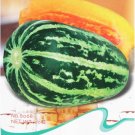 Fresh Color Muskmelon Fragrant Crisp Melon Seeds 20 Seeds/Pack Sweet Melon