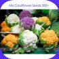 Fresh Mix Four Varieties Cauliflower 300 Seeds Vegetables Golden Purple White Green