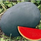 Fresh Gray Skin Big Long Red Sweet seeds Watermelon Seed 50 Seeds/Pack True Seed