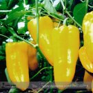 Fresh Heirloom Yellow Long Sweet Pepper Hybrid Huang La Meizi Seeds 20+ Edible