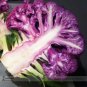 Fresh Graffiti Dark Purple Cauliflower Hybrid Brassica Oleracea 50 Seeds