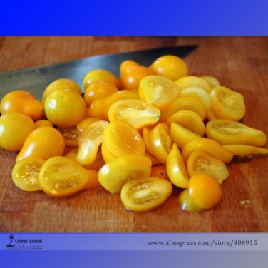 Fresh Yellow Pear Heirloom Tomato Seeds 100 Seeds / Pack Tasty Sweet Fruit