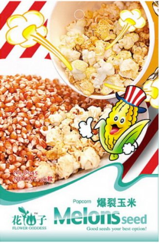 Fresh Popcorn Seeds Original Pack 30 Seeds / Pack Sweet Zea Mays Seeds #B045