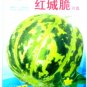 Fresh Yellow Green Sticky Melon Fruit Seeds 200 Seeds Muskmelon