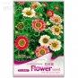 Fresh Garland Chrysanthemum 30 Seeds pyrenthrum painted daisy