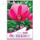 Fresh Hibiscus Moscheutos Flower Seeds Original Package 25 seeds balcony flowers