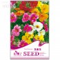 Fresh Nemesia Strumosa Flower Seeds 30 seeds patio seasons to flower seeds