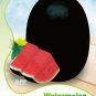 Fresh Black Long Sweet Watermelon (less seeds) Seeds 8 Seeds Juicy Sugar Contained 14%