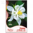 Fresh White Columbines Aquilegia Seeds Flowers Seeds 35 seeds hardy flower