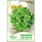 Fresh American Fast growing Lettuce Seeds 120 seeds natural healthy vegetable seeds