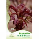 Fresh Chinese Toon Seeds Edible Red Oil Toon Sinensis Tree 50pcs natural vegetable I