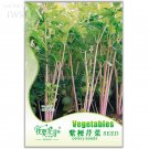 Fresh Purple Stems Celery Vegetable Seeds 30 seeds healthy and delicious vegetables