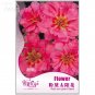 Fresh Red Sun Flower Seeds Original Pack 220 seeds potted seeds