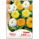 Fresh Colorful Calendula Offcinalis Seeds 60 seeds long flowering period seeds I