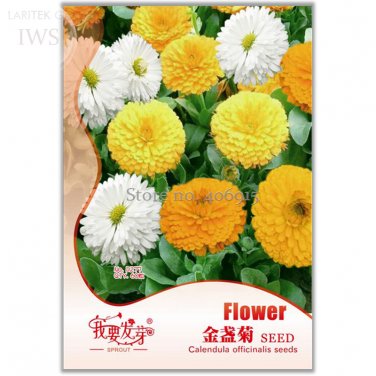 Fresh Colorful Calendula Offcinalis Seeds 60 seeds long flowering period seeds I