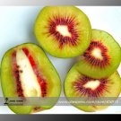 Fresh True Variery Mini Large Kiwi Fruit Chinese Gooseberry Fruit Seeds 50 Seeds/Pack
