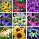 Fresh Japan Echinacea Purpurea Mixed Seeds