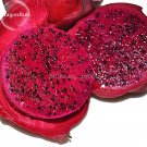Fresh Dwarf Pitaya Dragon Fruit Mixed Yellow Red White Colors 100 seeds juicy fruits