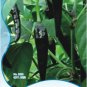 Fresh Black Rice Chilli Hot Pepper Vegetable Seeds 20 Seeds/Pack Pepper